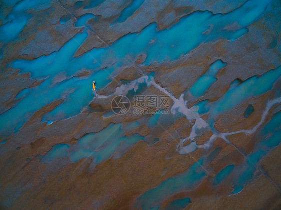 黄海湿地秋色图片