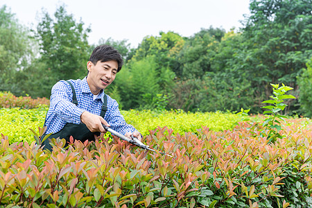 农夫工人修剪农场植物枝叶图片