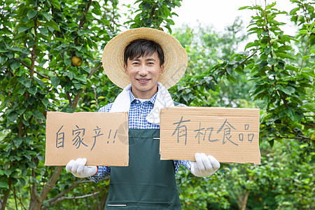 果农原产地直销水果高清图片