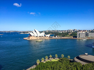 澳洲和牛悉尼城市风光背景