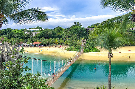 海岛椰子树新加坡海滩风光背景