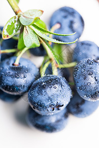 夏日新鲜蓝莓图片
