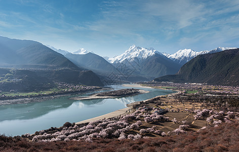 西藏湖泊西藏然乌湖景区樱花背景