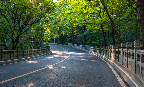 马路侧面城市山林中的道路背景