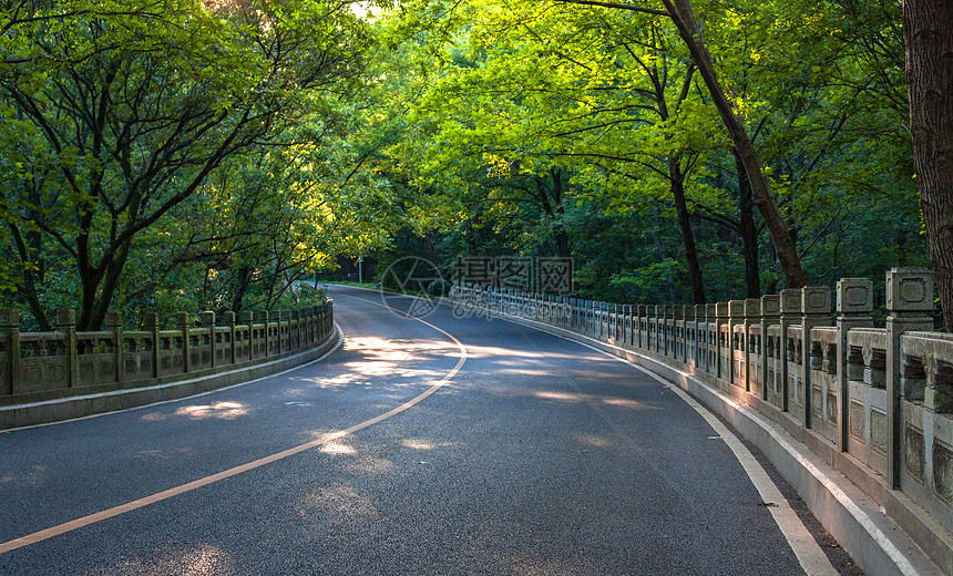 城市山林中的道路图片