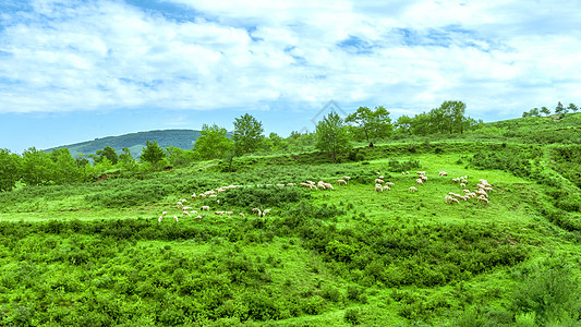 内蒙古夏季山川沟壑景观图片