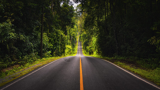 森林道路公路图片