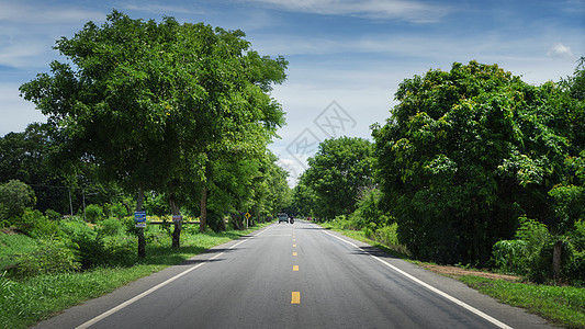 森林道路公路背景图片