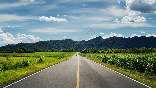 森林道路公路图片