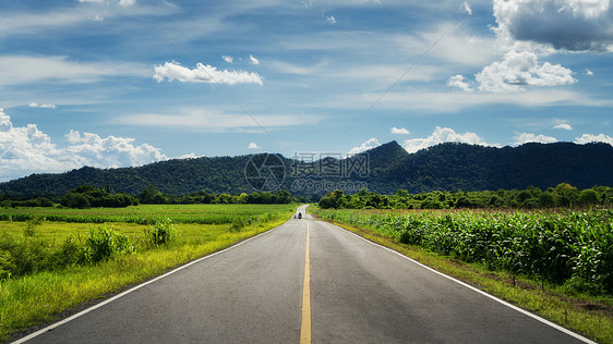 森林道路公路图片