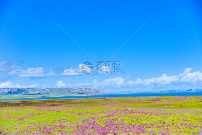 青海湖畔图片