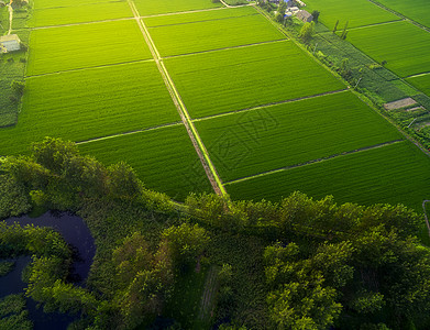 麦田航拍丰收季农田风光背景