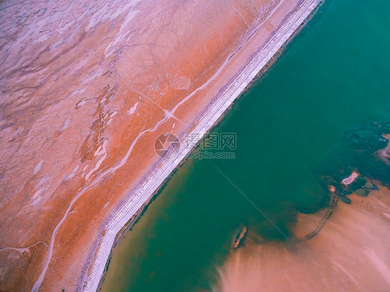 黄海湿地保护区地貌图片