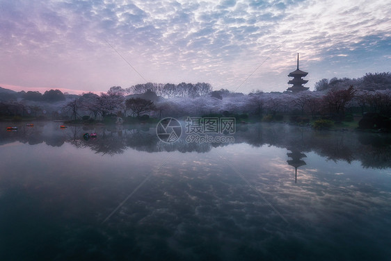 武汉东湖樱花园风光图片