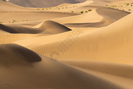 沙漠细节纹理图片