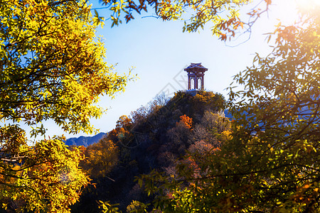 少华山秋景图片