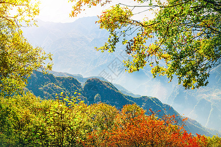 少华山秋景背景图片