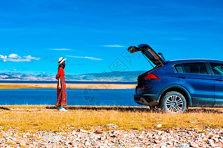 西藏美女草原上的汽车背景