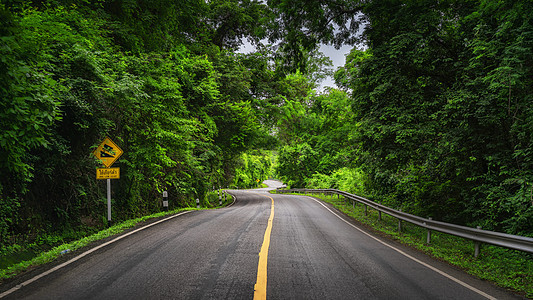 森林道路公路图片