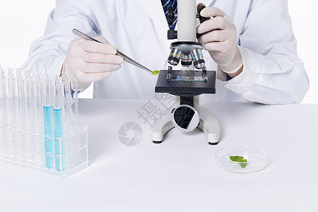科研人员使用显微镜科学研究图片