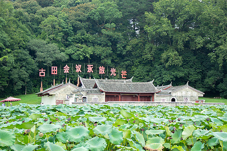 国画荷花红色景区古田会议背景