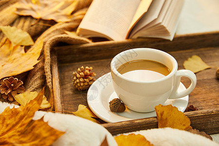 秋天落叶和蕨类深秋咖啡与书背景