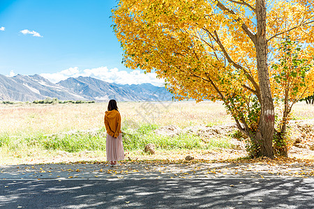 拿着树叶美女秋天的大树背景