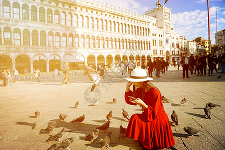 坐着喂鸟的女孩圣马可广场喂鸽子的女孩背景