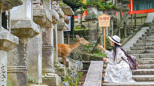 美女和鹿游客女孩喂食奈良小鹿背景