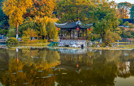 中式花园南京愚园背景