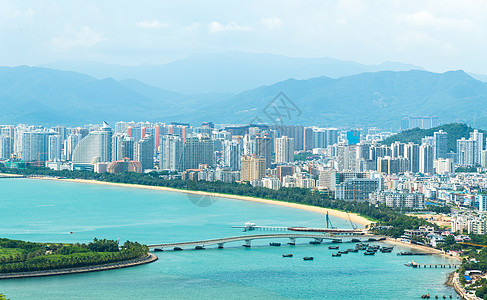 海南椰子树海南三亚城市建筑群背景