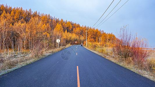 秋天清晨的公路高清图片