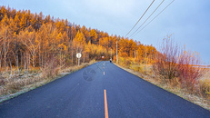 秋天清晨的公路图片