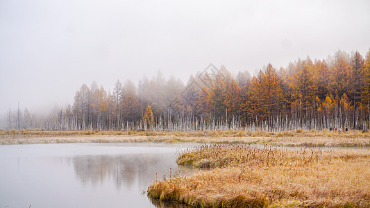 内蒙古阿尔山天池风景乌苏浪子湖秋景晨雾背景