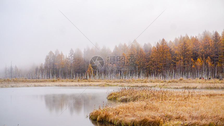 乌苏浪子湖秋景晨雾图片