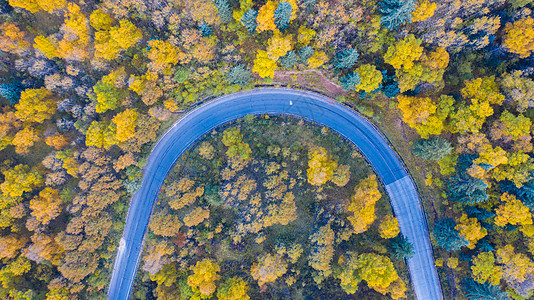 青海坎布拉森林公园秋季风光图片