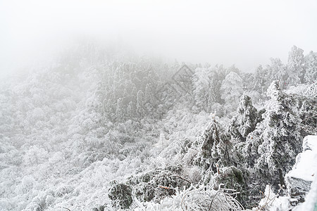 长白山森林雪景高清图片