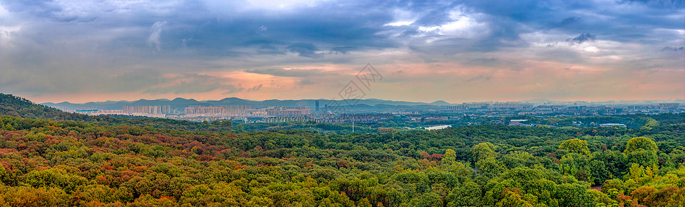 南京将军山南京紫金山秋色全景背景