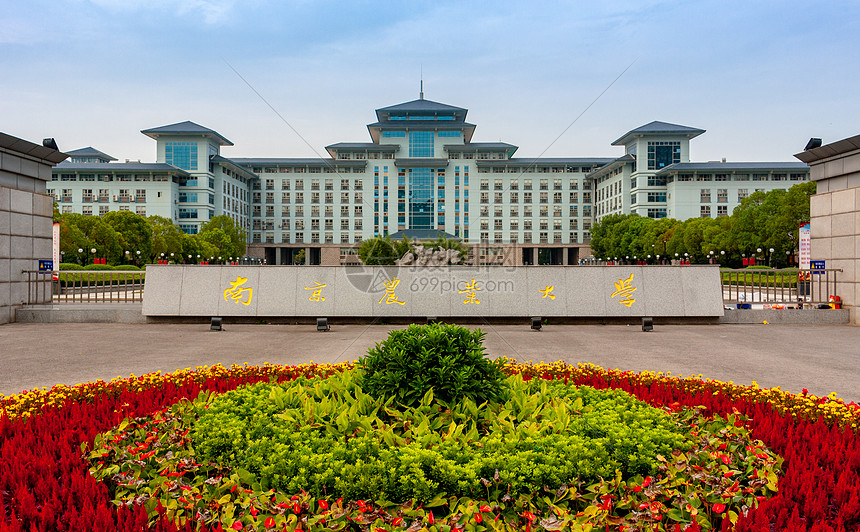 南京农业大学
