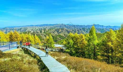 内蒙古苏木山国家森林公园秋季景观图片