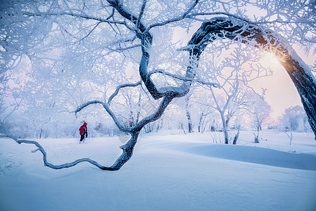 雪地雪景吉林亚龙湾群景区冬天雾凇树挂风景背景