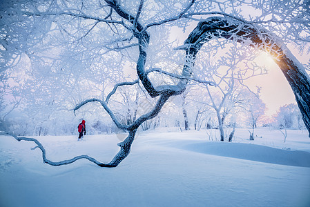 雪花纷飞吉林亚龙湾群景区冬天雾凇树挂风景背景