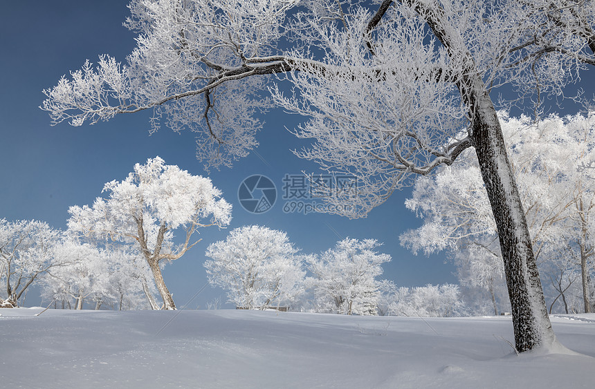 吉林亚龙湾群景区冬天雾凇树挂风景
