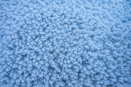 冬天冰面雪花素材背景图片