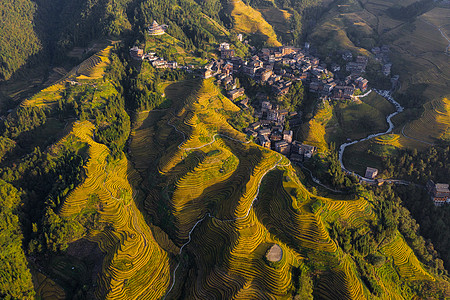 航拍山航拍桂林金色龙脊梯田背景