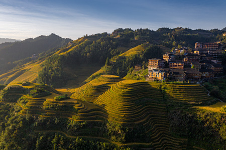 桂林山航拍桂林金色龙脊梯田背景