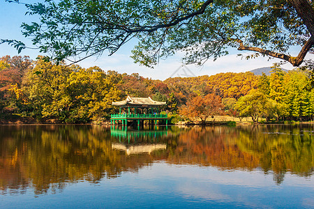 南京紫金山鸢尾湖秋色高清图片