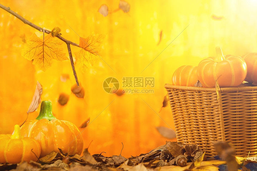 感恩节南瓜和落叶图片