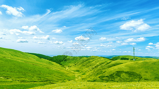 高山树林内蒙古高山草原户外野营露营背景