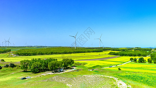 内蒙古武川县油菜花景观图片